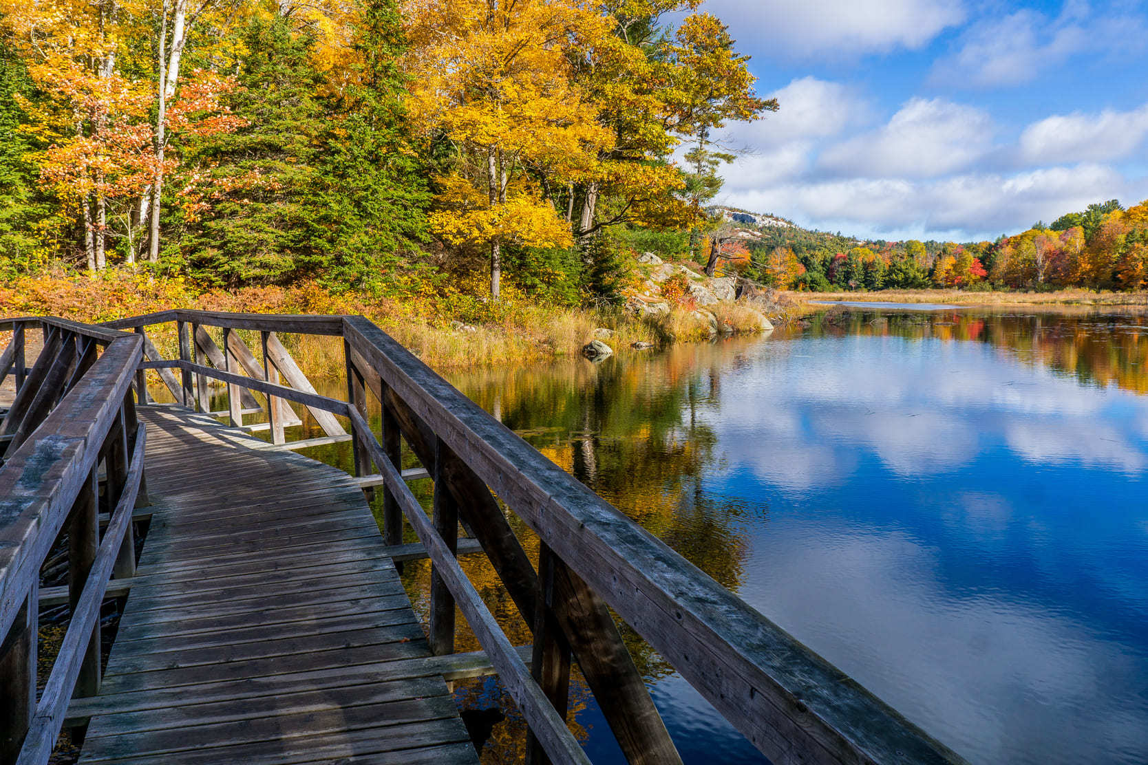 A hiking trail alongside the water in Haliburton Ontario